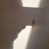 https://cdn-ostrovok-ru-ion.test.edgekey.net/t/100x100/hotel_review/b6/61/b661966250f745534a0237d12bc8df5db21058e9.jpeg