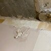 https://cdn-ostrovok-ru-ion.test.edgekey.net/t/100x100/hotel_review/b6/a4/b6a402bfecf905b362f4d120618d9fe7dc8b69a4.JPEG