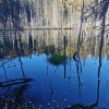 https://cdn-ostrovok-ru-ion.test.edgekey.net/t/100x100/hotel_review/b6/dd/b6dd34819cf2c51c013e80030faa8a616469f11e.jpeg