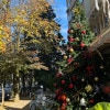 https://cdn-ostrovok-ru-ion.test.edgekey.net/t/100x100/hotel_review/b6/df/b6dfbb415e455c17646e5fc1df8e7106149f46d7.JPEG