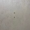 https://cdn-ostrovok-ru-ion.test.edgekey.net/t/100x100/hotel_review/b6/eb/b6eb7dc9c19526b363c8a04ff67bb63b56601704.JPEG