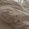 https://cdn-ostrovok-ru-ion.test.edgekey.net/t/100x100/hotel_review/b7/63/b76379b7ca280250ceb81e875c498f6a5c4519a5.JPEG