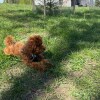 https://cdn-ostrovok-ru-ion.test.edgekey.net/t/100x100/hotel_review/b7/75/b775a75cc5965164a59b48dba5143f11b3b5d77b.JPEG