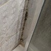 https://cdn-ostrovok-ru-ion.test.edgekey.net/t/100x100/hotel_review/b7/9f/b79fae81895f661525e4ae8d85ede28604d7780e.JPEG