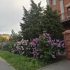 https://cdn-ostrovok-ru-ion.test.edgekey.net/t/100x100/hotel_review/b7/c0/b7c09b63fabfa9ad0c9c458329d72d992626586c.JPEG