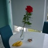 https://cdn-ostrovok-ru-ion.test.edgekey.net/t/100x100/hotel_review/b7/d9/b7d9504667c3054966375ef365b1d50ee4f3f58f.JPEG