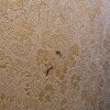 https://cdn-ostrovok-ru-ion.test.edgekey.net/t/100x100/hotel_review/b8/52/b852b8dd7cbfd885fa9a23c65a136073d92f615b.jpeg