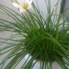 https://cdn-ostrovok-ru-ion.test.edgekey.net/t/100x100/hotel_review/b8/87/b88723d265bca224298662c60e0d0159519e6873.JPEG