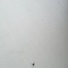 https://cdn-ostrovok-ru-ion.test.edgekey.net/t/100x100/hotel_review/b8/ca/b8ca6ddd3fc2a22fa0922146c0754dc49fe89b31.JPEG
