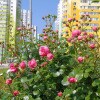 https://cdn-ostrovok-ru-ion.test.edgekey.net/t/100x100/hotel_review/b8/db/b8db6d0b7538f7d1f036c88168db62e121d0ba69.JPEG