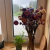 https://cdn-ostrovok-ru-ion.test.edgekey.net/t/100x100/hotel_review/b9/2b/b92b495fbf1e4a6ec383351adf8a9c44cc726a4a.JPEG