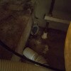 https://cdn-ostrovok-ru-ion.test.edgekey.net/t/100x100/hotel_review/b9/2e/b92ed3351e2a4e0fa802fe37611fede2ec84bd40.JPEG
