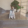 https://cdn-ostrovok-ru-ion.test.edgekey.net/t/100x100/hotel_review/b9/75/b9759862960deb1ada2a053193d5cded6b93cf7d.JPEG
