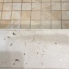 https://cdn-ostrovok-ru-ion.test.edgekey.net/t/100x100/hotel_review/b9/97/b997bd8de78339aa5ff3eaa2902a36e45b629fcc.JPEG