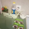 https://cdn-ostrovok-ru-ion.test.edgekey.net/t/100x100/hotel_review/b9/9f/b99f7433ed437de2c57e40f79d62ff02427283d1.JPEG