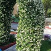 https://cdn-ostrovok-ru-ion.test.edgekey.net/t/100x100/hotel_review/b9/ed/b9edf31fcb86450450469b74cc20f85b455a4ca2.JPEG
