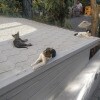 https://cdn-ostrovok-ru-ion.test.edgekey.net/t/100x100/hotel_review/ba/48/ba480bd031d2bb60bd8beb83b348d4ce36423c2d.jpeg
