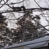 https://cdn-ostrovok-ru-ion.test.edgekey.net/t/100x100/hotel_review/ba/54/ba54213ab0aa8b897847be17b9e3646edfae8229.JPEG