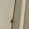 https://cdn-ostrovok-ru-ion.test.edgekey.net/t/100x100/hotel_review/ba/85/ba8561d7897f9e31d28b736cf56bc903c48f8c34.JPEG
