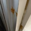 https://cdn-ostrovok-ru-ion.test.edgekey.net/t/100x100/hotel_review/ba/90/ba902e9806d8336a24e3fb3c215b48c30c55f381.JPEG