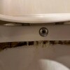 https://cdn-ostrovok-ru-ion.test.edgekey.net/t/100x100/hotel_review/ba/be/babe00bd76481b55ffdb569a4005a57b461417b7.jpeg