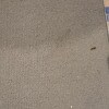 https://cdn-ostrovok-ru-ion.test.edgekey.net/t/100x100/hotel_review/ba/d4/bad40571f5ba4fcce8cd1669ce90e32ea8e0bdf5.JPEG