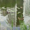 https://cdn-ostrovok-ru-ion.test.edgekey.net/t/100x100/hotel_review/ba/d8/bad802918a1041a327d12c385879576cb9932bd9.JPEG