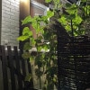 https://cdn-ostrovok-ru-ion.test.edgekey.net/t/100x100/hotel_review/bb/a6/bba62d9534a2706f1d07c8a009cf78d4c7ee2c43.JPEG