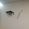 https://cdn-ostrovok-ru-ion.test.edgekey.net/t/100x100/hotel_review/bb/e4/bbe42efdf56ffee713a13828e404b2657cbbc8a3.JPEG