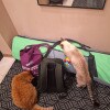 https://cdn-ostrovok-ru-ion.test.edgekey.net/t/100x100/hotel_review/bb/ea/bbeaa0075904463c57155fb806dbb58930e64b79.JPEG