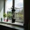https://cdn-ostrovok-ru-ion.test.edgekey.net/t/100x100/hotel_review/bb/ed/bbedb386c37b61c3aefc7153c3936afd841a0aa2.JPEG