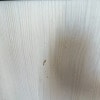 https://cdn-ostrovok-ru-ion.test.edgekey.net/t/100x100/hotel_review/bb/ff/bbff0147d307fd2a823907ccf700dc04767ab29e.jpeg