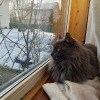 https://cdn-ostrovok-ru-ion.test.edgekey.net/t/100x100/hotel_review/bc/18/bc188747101590b841c743b47aa4685df54e14d4.jpeg