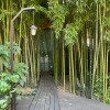 https://cdn-ostrovok-ru-ion.test.edgekey.net/t/100x100/hotel_review/bc/34/bc3466c79368870499f890471aed419e746fbc69.JPEG