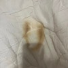 https://cdn-ostrovok-ru-ion.test.edgekey.net/t/100x100/hotel_review/bc/59/bc59496423409bb7c861475b39b00288e6a33185.JPEG