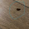 https://cdn-ostrovok-ru-ion.test.edgekey.net/t/100x100/hotel_review/bc/f9/bcf9feb4912d9228ba8ad7278b23f0e5f6a36be0.JPEG