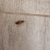 https://cdn-ostrovok-ru-ion.test.edgekey.net/t/100x100/hotel_review/bd/0c/bd0ce6e3ada9fee352c748cd5adb193fda3ada83.jpeg