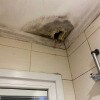 https://cdn-ostrovok-ru-ion.test.edgekey.net/t/100x100/hotel_review/bd/83/bd835842b879076b7f8e459cf848863c99f6ed8e.JPEG