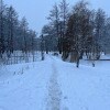 https://cdn-ostrovok-ru-ion.test.edgekey.net/t/100x100/hotel_review/bd/dc/bddc1b4b08956d39e43970ffbc6246972e33f6b1.JPEG