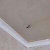https://cdn-ostrovok-ru-ion.test.edgekey.net/t/100x100/hotel_review/bd/e9/bde9234f66ce232fb0a1645680bda4ac51c6ec3f.jpeg