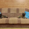 https://cdn-ostrovok-ru-ion.test.edgekey.net/t/100x100/hotel_review/bd/f8/bdf85292fbfa02effc0c2c277de30dd180a10d7a.jpeg