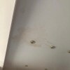 https://cdn-ostrovok-ru-ion.test.edgekey.net/t/100x100/hotel_review/be/11/be1166e0c32529733ffdd04cb33dcc4f85c852f2.jpeg