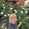 https://cdn-ostrovok-ru-ion.test.edgekey.net/t/100x100/hotel_review/be/3d/be3d62f2ff09a75dec545e734d471d9cf1362490.JPEG