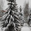 https://cdn-ostrovok-ru-ion.test.edgekey.net/t/100x100/hotel_review/be/95/be95b7d67845ce52916292a706eda5598f6363e6.JPEG