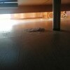 https://cdn-ostrovok-ru-ion.test.edgekey.net/t/100x100/hotel_review/be/ba/beba589cd583e68cb1fdbbad5e439da102f8afec.JPEG