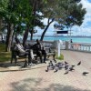 https://cdn-ostrovok-ru-ion.test.edgekey.net/t/100x100/hotel_review/be/bb/bebb044d118409eb31f36c5bbd3d64fda9f385f5.JPEG