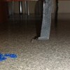 https://cdn-ostrovok-ru-ion.test.edgekey.net/t/100x100/hotel_review/be/c2/bec2d22c01e2ab98a18538b718220760606e445f.JPEG
