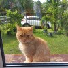 https://cdn-ostrovok-ru-ion.test.edgekey.net/t/100x100/hotel_review/be/d5/bed5824ac84563a33e64484ede6114b7c2c54ab3.JPEG