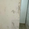 https://cdn-ostrovok-ru-ion.test.edgekey.net/t/100x100/hotel_review/bf/76/bf762491681d3f82b60960f4c0890c6e264cd320.JPEG