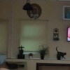 https://cdn-ostrovok-ru-ion.test.edgekey.net/t/100x100/hotel_review/bf/ac/bfac62ebc278d0e42d2fdd1d170fc48d29150e5c.JPEG